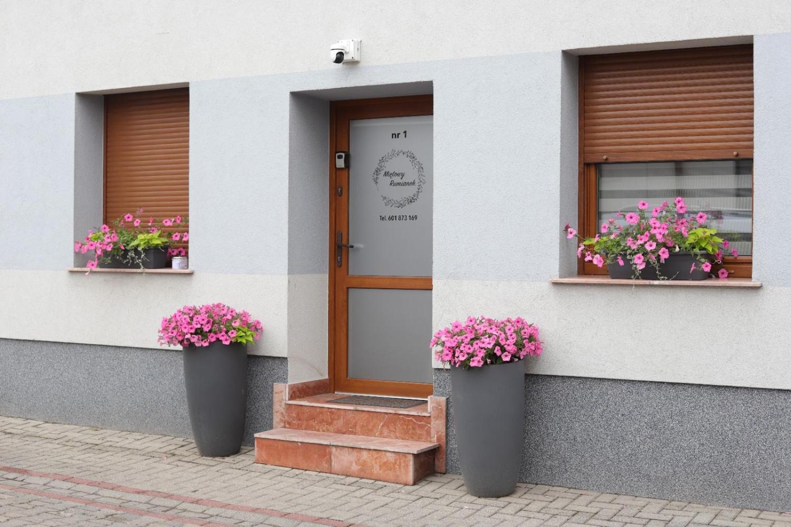 Apartament Mietowy Rumianek Lwowek Exterior foto